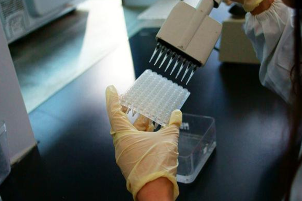 老婆怕我做DNA亲子鉴定