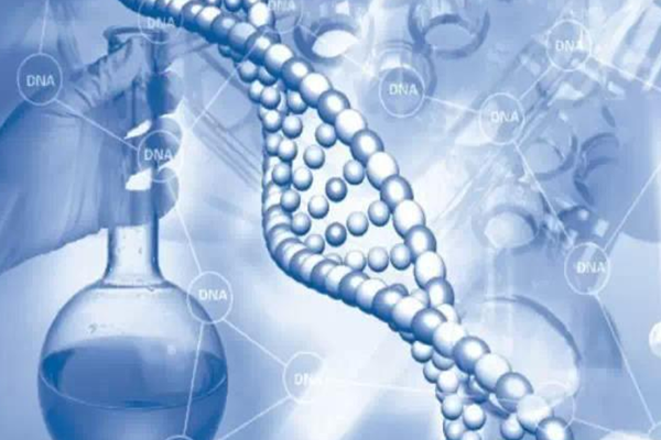 作亲子鉴定衡水哪里去