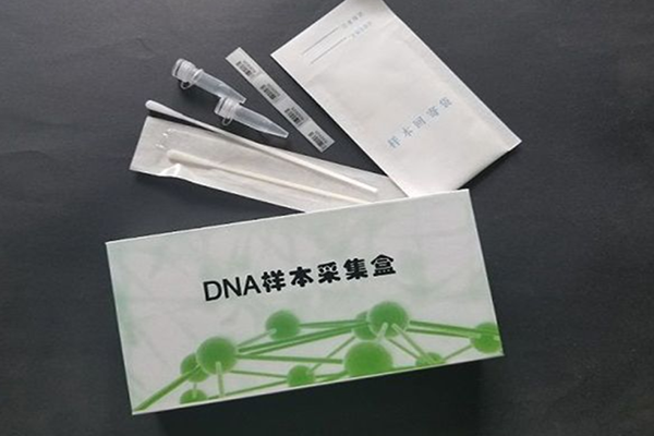 老婆怕我做DNA亲子鉴定