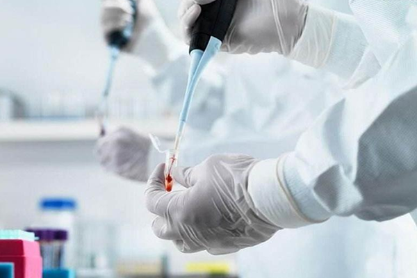 作亲子鉴定衡水哪里去