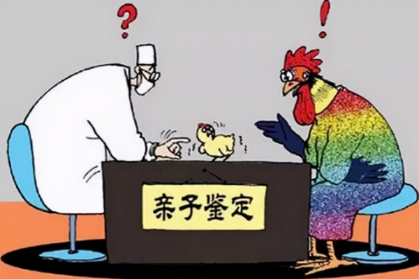 哪里可以做亲子鉴定呢