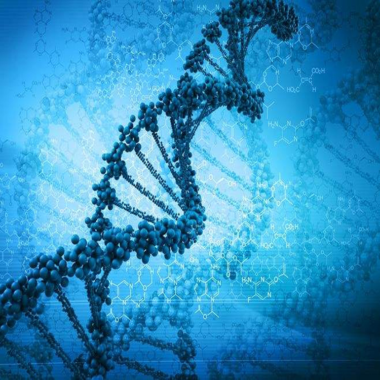 做一个亲子鉴定大概要多少钱钱，不同技术在收费方面有何不同