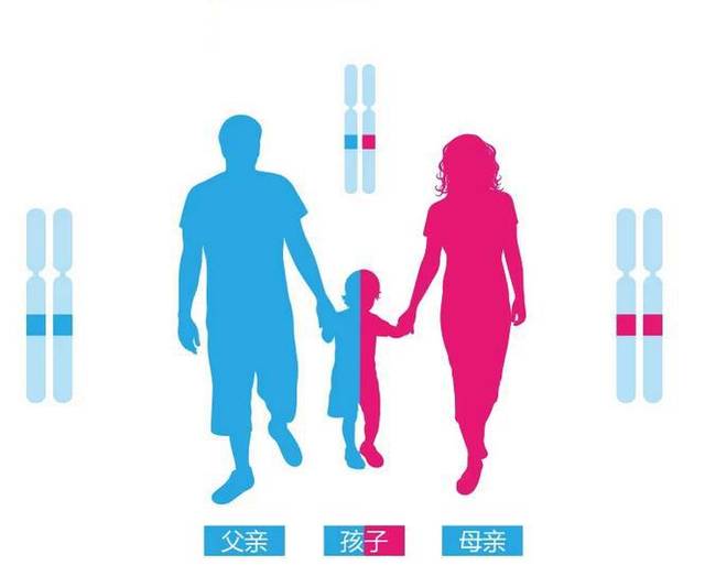 重庆什么医院可以做亲子鉴定