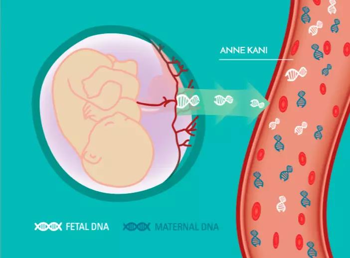 父女dna鉴定准确性有多高？dna检测值得信任吗？