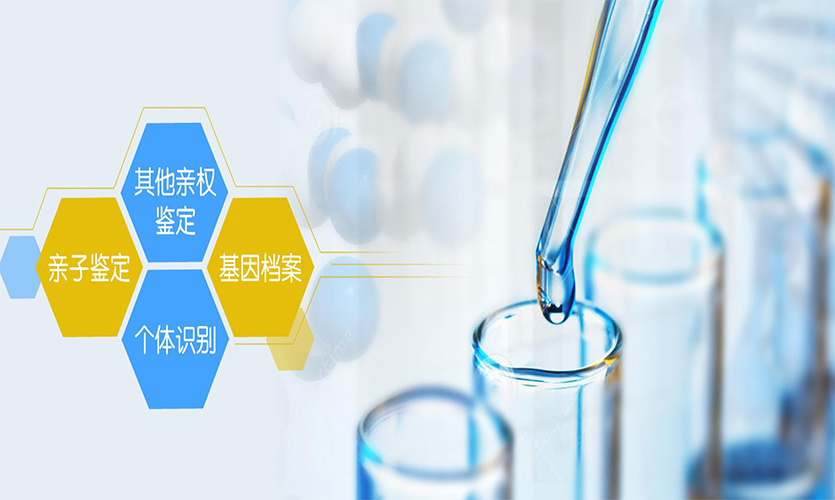 贵阳亲子鉴定价格是多少？贵阳可以线上做亲子鉴定吗？