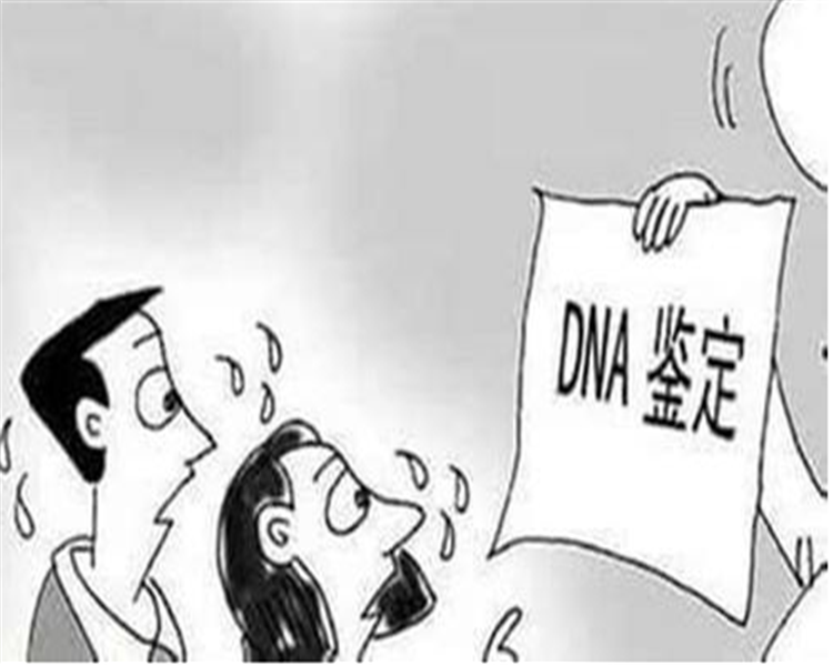 个人亲子鉴定哪里可以做?个人亲子鉴定都需要提供什么?