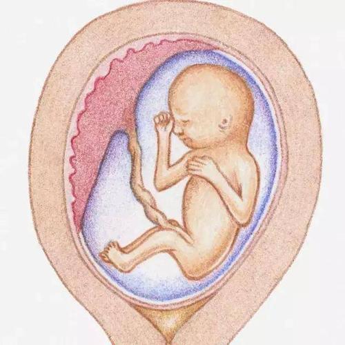 怀孕一个月怎么查孩子是谁的?怀孕做亲子鉴定哪种方法更好?