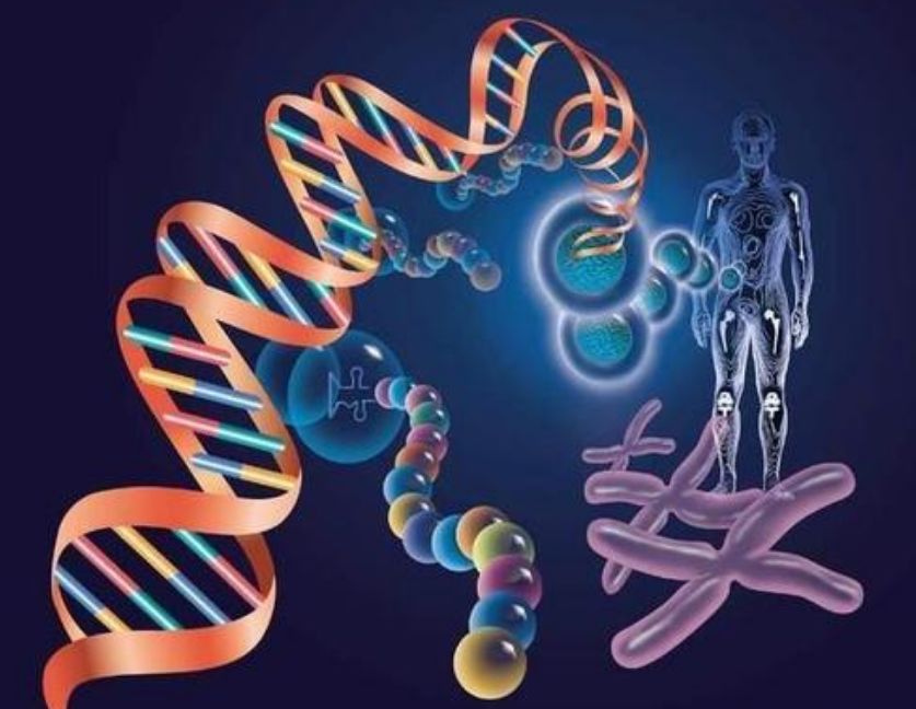 吉林市哪里可以做亲子鉴定?眼睫毛能做亲子鉴定吗?