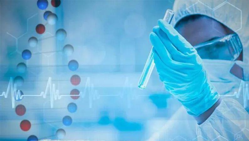 普通亲子鉴定多少钱?选择哪种亲子鉴定样本更好?