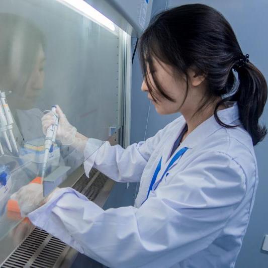 哈尔滨亲子鉴定去哪里做?亲子鉴定能解决什么问题?