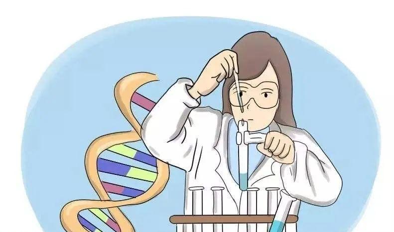 做亲子鉴定要带什么证件,做亲子鉴定需要什么材料