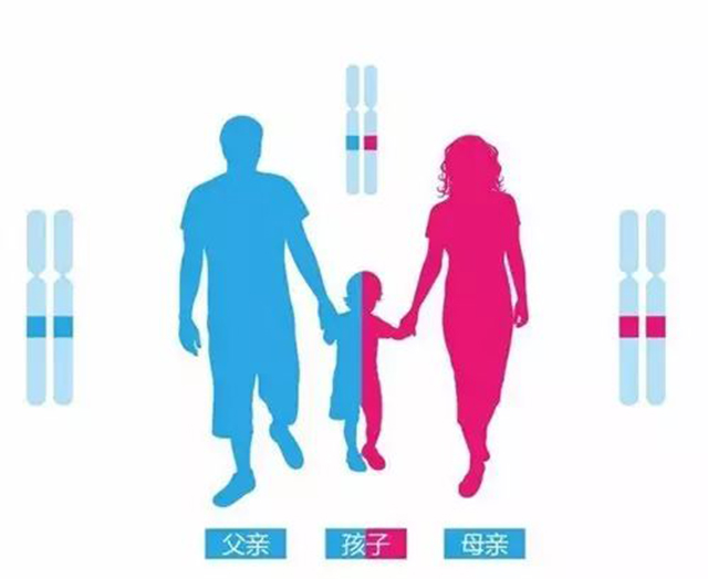 保定亲子鉴定在哪个医院可以做 亲子鉴定多久出结果