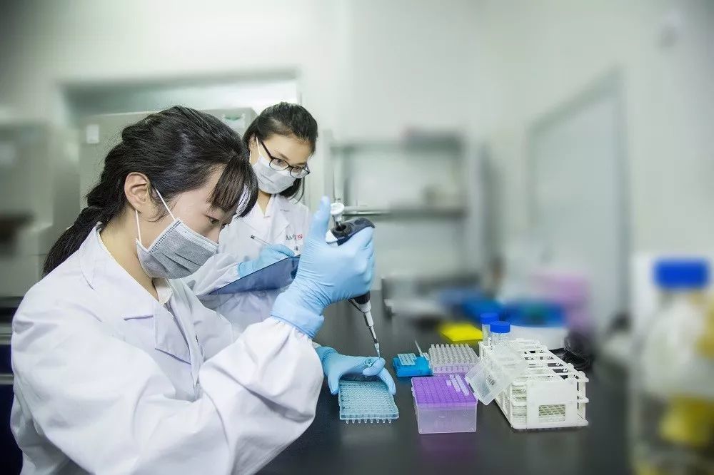 做一个亲子鉴定要花多少钱 亲子鉴定主要有哪些项目