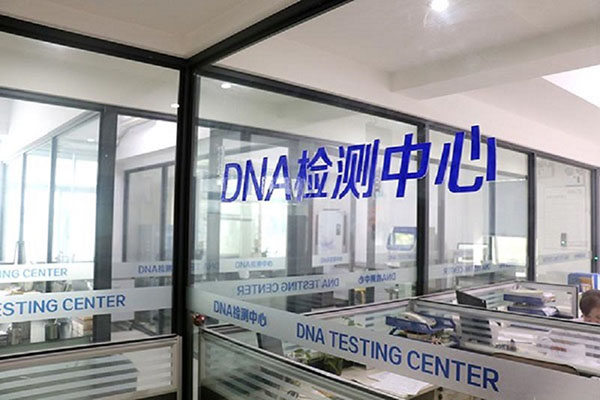 预约做亲子鉴定准确吗