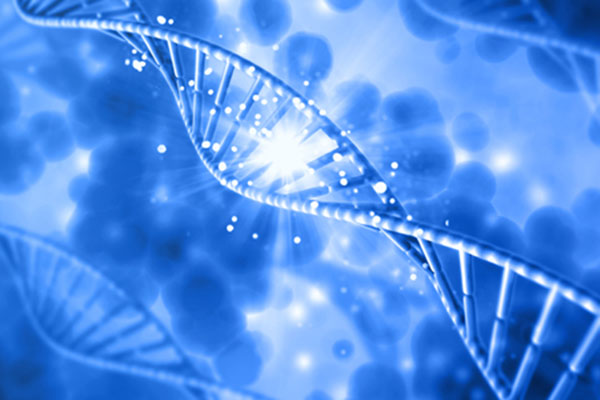DNA检测：白细胞检测可行吗？